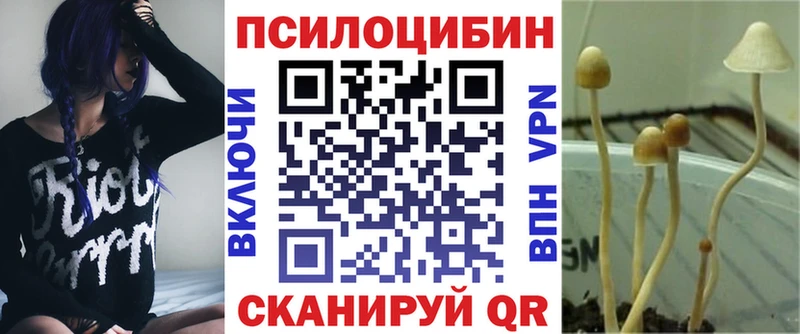 МЕГА   Богородицк  Псилоцибиновые грибы MAGIC MUSHROOMS 